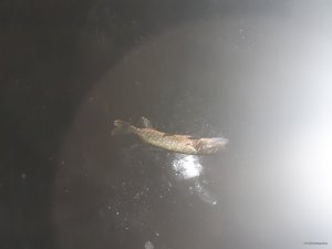20191125_062056.jpg
