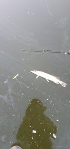 20191125_111419.jpg