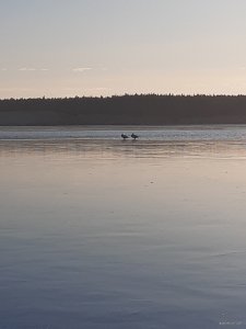 20191125_142653.jpg