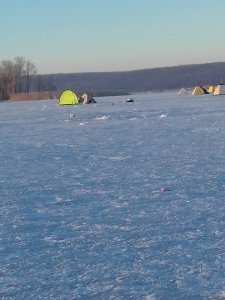 20190224_064725.jpg