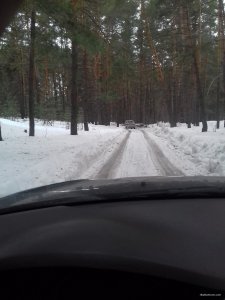 20190224_151259.jpg