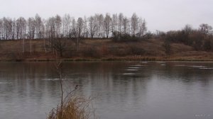 DSC01951.JPG