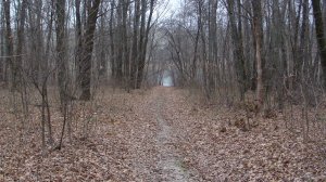 DSC01960.JPG