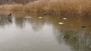 DSC01968.JPG