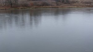 DSC01935.JPG