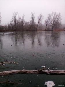 IMG_20191128_114948.jpg