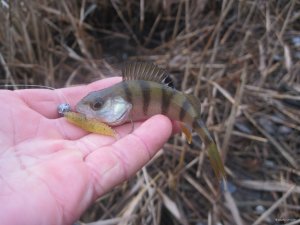 IMG_1334.JPG