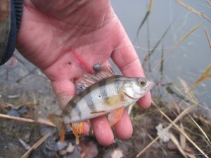 IMG_1338.JPG
