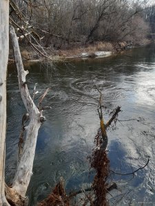 20191202_120553.jpg