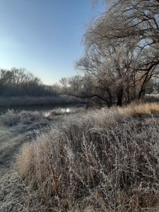 20191202_083351.jpg
