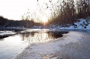 SAVE_20191204_204905.jpg