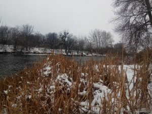 IMG_20191205_080721.jpg