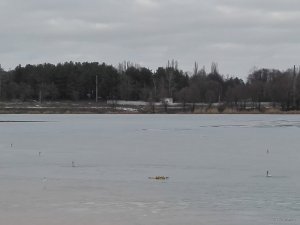 IMG_20191207_124921.jpg