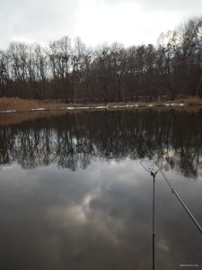 IMG_20191207_132136.jpg