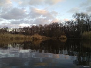 IMG_20191201_151738.jpg