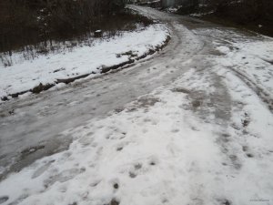 IMG_20191207_082653.jpg
