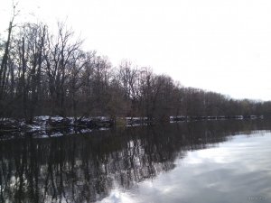 IMG_20191207_112523.jpg