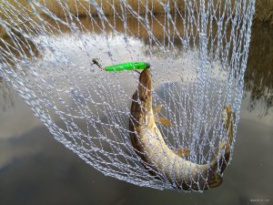 IMG_20191207_105428.jpg