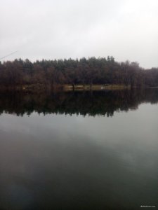 IMG_20191208_084707.jpg