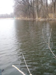 IMG_20191208_095657.jpg