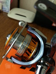 IMG_20191207_100928.jpg