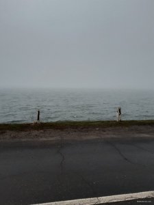 20191209_072519.jpg