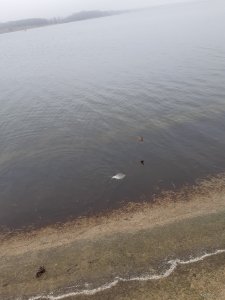 20191209_115754.jpg