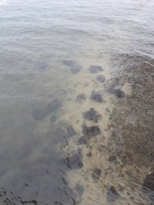 20191209_082126.jpg