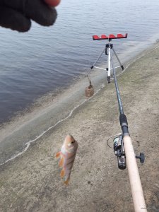 20191209_114348.jpg
