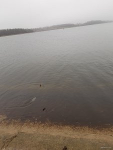 20191209_115744.jpg