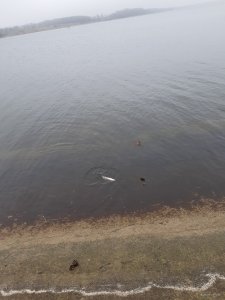 20191209_115751.jpg