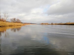 IMG_20191208_124136.jpg