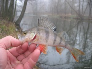 IMG_1357.JPG