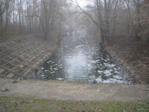 IMG_1361.JPG
