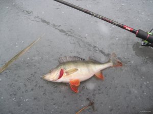 IMG_1363.JPG