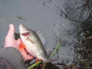 IMG_1372.JPG
