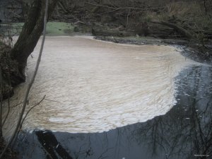 IMG_1374.JPG