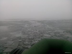 IMG_20191211_085007_small.jpg