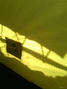 IMG_20170212_125342.jpg