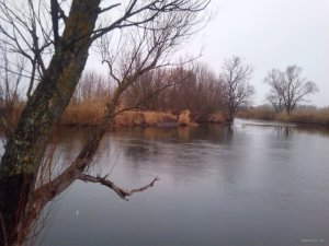 IMG_20191214_102748.jpg