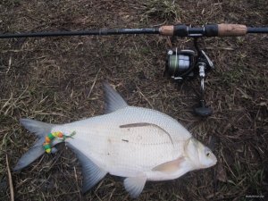 IMG_1376.JPG