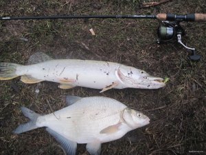 IMG_1377.JPG