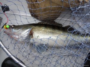 IMG_20191212_115539.jpg