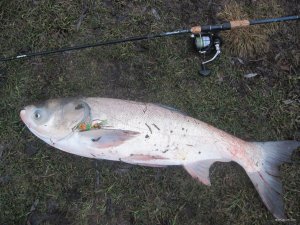 IMG_1388.JPG
