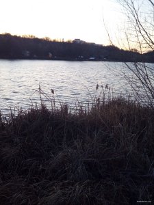 IMG_20191219_152932.jpg