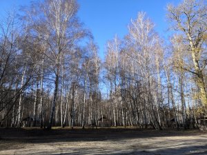 IMG_20191219_101518.jpg
