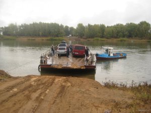 IMG_1802.JPG