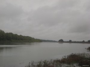 IMG_1810.JPG