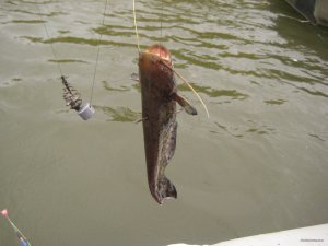 IMG_1961.JPG