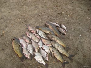 IMG_1993.JPG